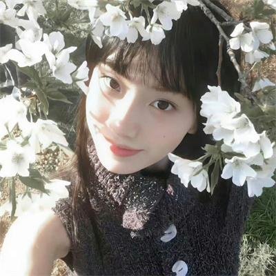 咕咕是一只猫